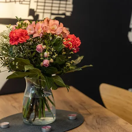 Black & White 公寓 瓦多维采